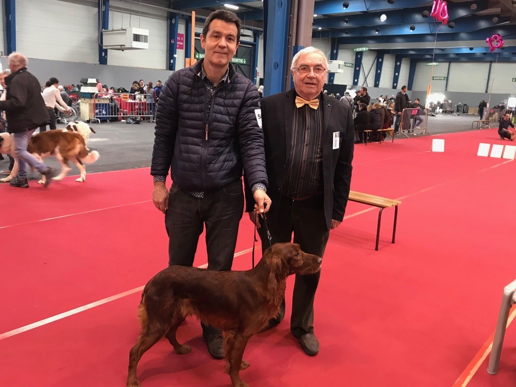 De Causses Et D'Aubrac - CAC CACIB pour LOOK 