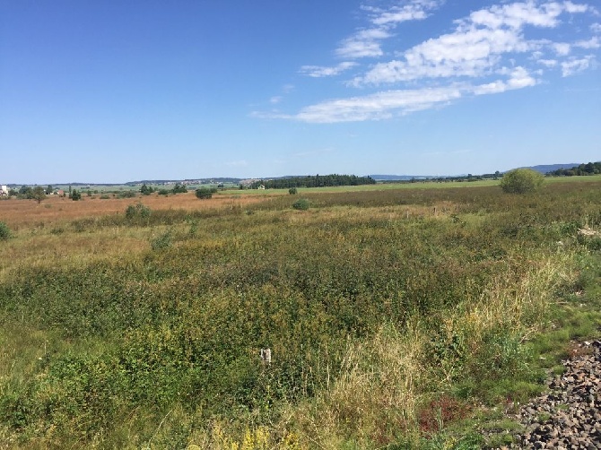 De Causses Et D'Aubrac - Field  HOUTAUD becassines