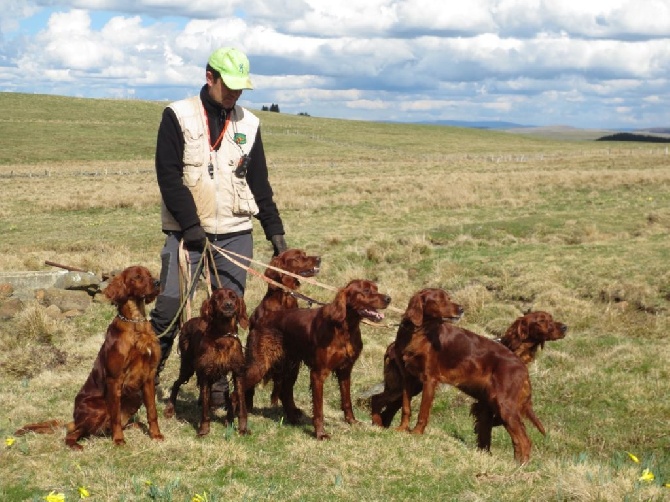 De Causses Et D'Aubrac - CONCOURS  bécassines COUREON Look au CAC et devient Trialer