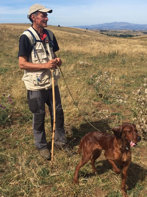 De Causses Et D'Aubrac - Field le Limon 