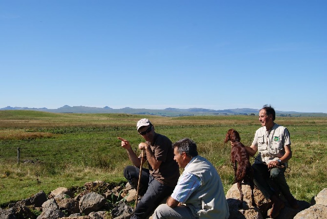 De Causses Et D'Aubrac - Le LIMON septembre 2014