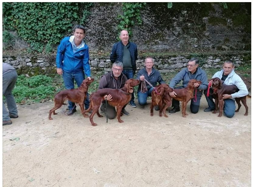 De Causses Et D'Aubrac - Expo speciale 