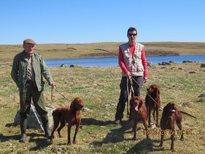 De Causses Et D'Aubrac - QUE DU BONHEUR: amis, chiens, bécassines, et AUBRAC...!