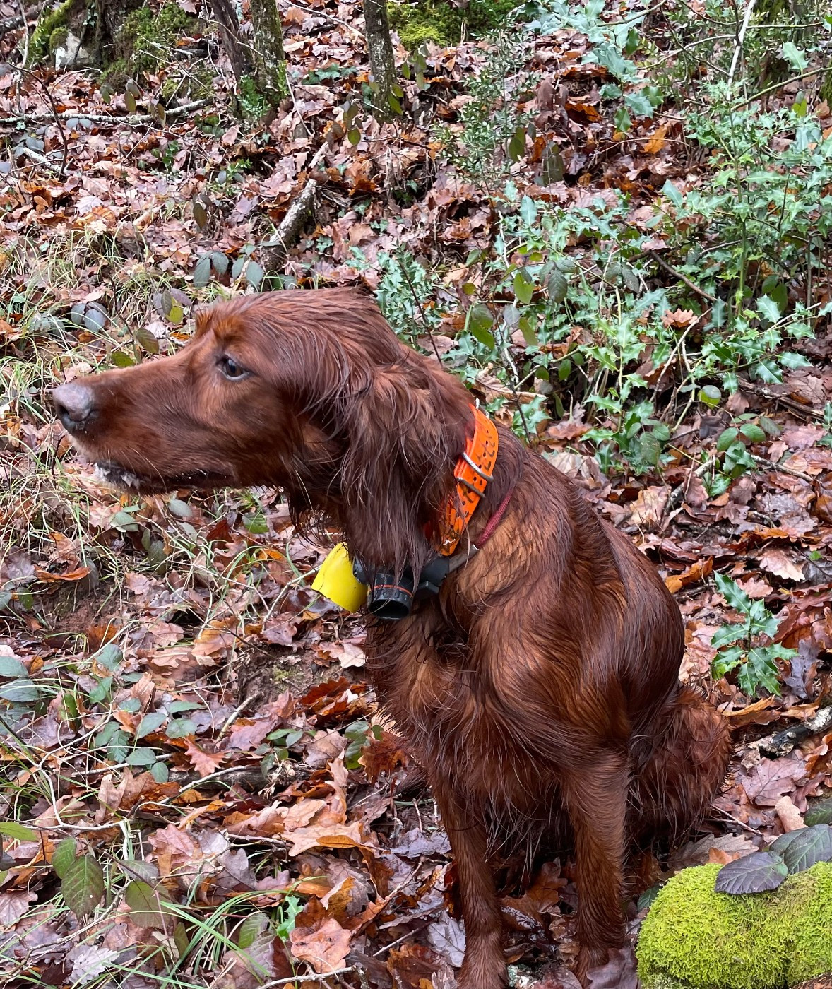 OKLAY a rencontré RUBY du rond de Baume